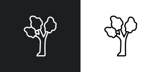 eastern cottonwood tree line icon in white and black colors. eastern cottonwood tree flat vector icon from eastern cottonwood tree collection for web, mobile apps and ui. - obrazy, fototapety, plakaty
