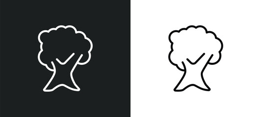 butternut tree line icon in white and black colors. butternut tree flat vector icon from butternut tree collection for web, mobile apps and ui.