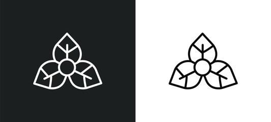 bougainvillea line icon in white and black colors. bougainvillea flat vector icon from bougainvillea collection for web, mobile apps and ui. - obrazy, fototapety, plakaty