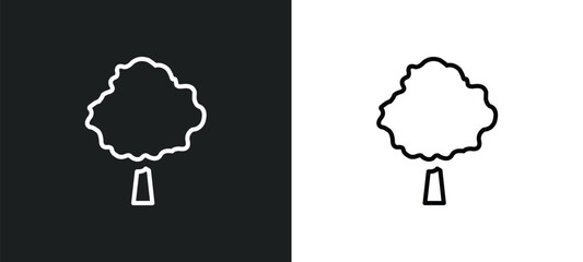 beech line icon in white and black colors. beech flat vector icon from beech collection for web, mobile apps and ui.