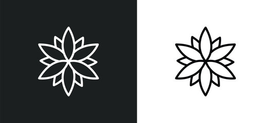 Fototapeta na wymiar astrantia line icon in white and black colors. astrantia flat vector icon from astrantia collection for web, mobile apps and ui.