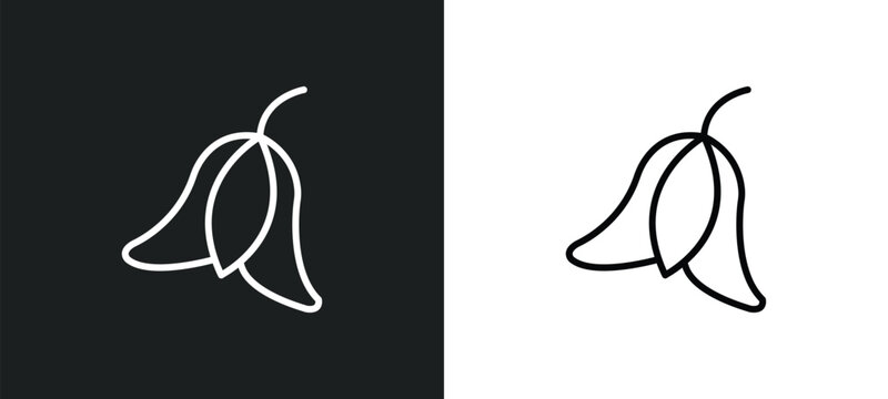 bluebell line icon in white and black colors. bluebell flat vector icon from bluebell collection for web, mobile apps and ui.