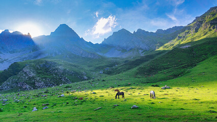 Meadows near to El Meicin refuge, Pena Ubina Natural Park, Asturias, Spain