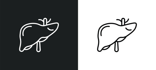 liver line icon in white and black colors. liver flat vector icon from liver collection for web, mobile apps and ui.