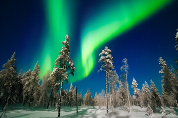 Captivating lights of the Aurora borealis painting the Lapland nights in Finland. Generative AI.