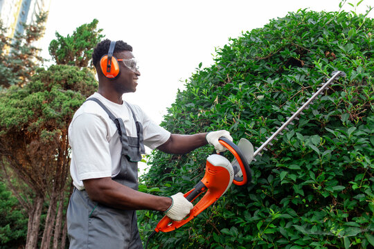 garden worker in uniform cuts bushes, african american man in goggles and headphones works in the garden