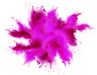 bright pink magenta holi paint color powder festival explosion burst isolated white background. industrial print concept background
