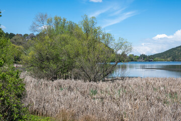 Spring Landscape of Pancharevo lake, Bulgaria