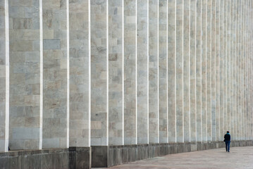 A person walking near a huge governmental building  - obrazy, fototapety, plakaty