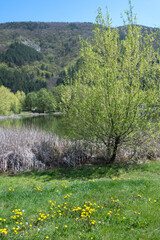 Spring Landscape of Pancharevo lake, Bulgaria
