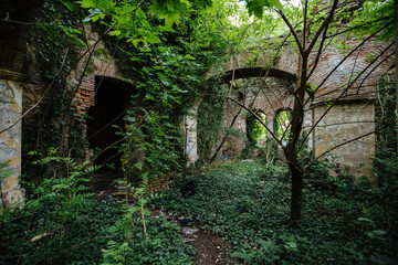 Old ruins of historical building overgrown by vegetation green post-apocalyptic concept