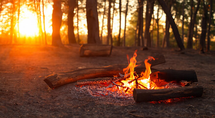 beautiful campfire in the middle of the pine forest