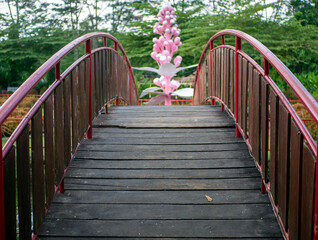 Red old wooden bridge in the park, shallow focus