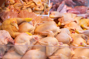 Pile of fresh raw gutted broiler chickens arranged in refrigerated display case of meat market. Popular butchery products concept..