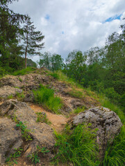 Rocky hillside with pine trees under partly cloudy summer sky