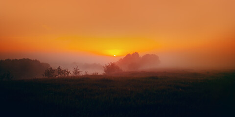Bright orange sunset in nature