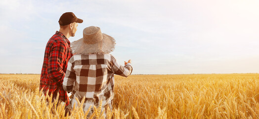 Farmers in wheat field on sunny day © Pixel-Shot
