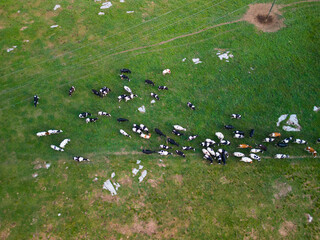 Fototapeta na wymiar Aerial drone view of agriculture/farmland.