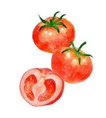 赤色のトマトのセット　夏野菜の手描き水彩イラスト素材