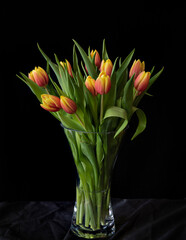 Beautiful arrangement of tulips in a vase on a black background.