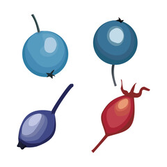 fruit-shaped 2D art image.vector