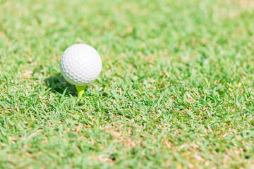 ティーの上にあるゴルフボール
