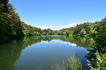 水面が鏡のような福島県・五色沼湖沼群