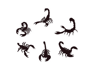 Vector scorpion silhouette on white background