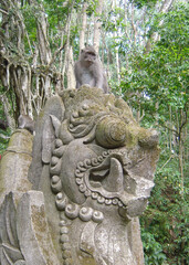 Fototapeta na wymiar Macaque Monkey sits atop ruined Hindu statue in green jungle at Sacred Monkey Forest in Bali Indonesia