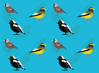 Bird Bobolink Grosbeak Rosy-Finch Cute Cartoon Seamless Wallpaper Background