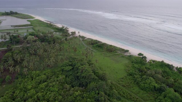 Wide shot of empty Pantai Marosi at Sumba island with palm trees, aerial
