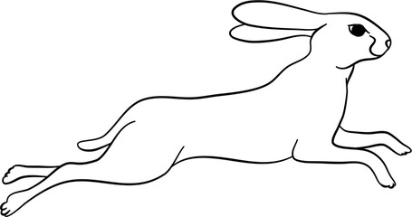 Jump Bunny Outline Illustration Vector