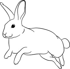 Jump Bunny Outline Illustration Vector