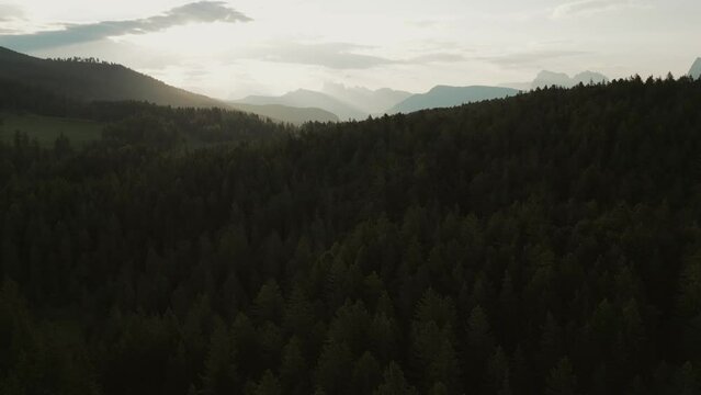 morning drone shot of forest of dolimites