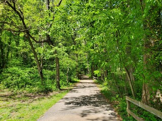 Beautiful green trees along the hiking trail near Bellevue Park, Wilmington, Delaware, U.S.A