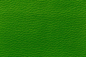 Green leather and a textured background.