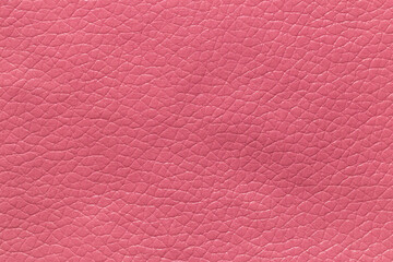 Pink leather and a textured background.