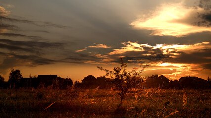 Naklejka na ściany i meble Summer sunrise or sunset in the field. Gold hours. Summer morning or evening.