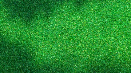 shadow on green grass background