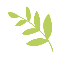 Summer  sun flower spring sunshine