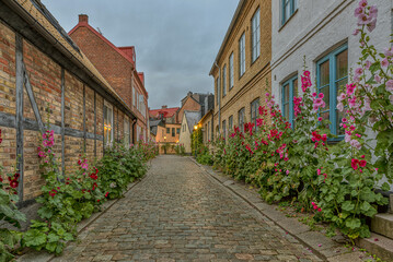 Fototapeta na wymiar old cobblestone alleyway with half timbered houses and red hollyhocks in the evening