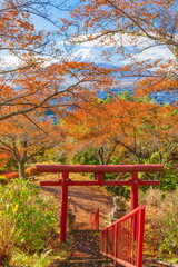 富士山と紅葉　山梨県富士吉田市孝徳公園にて