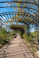 Fototapeta premium El Prado Park in Montevideo, in the Capital of Uruguay, wooded area