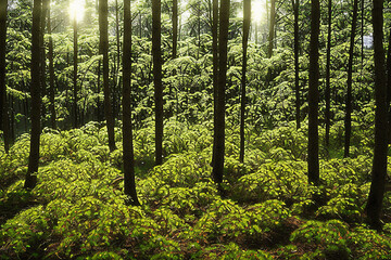 Obraz premium forest, tree, nature, green, landscape, wood, jungle, natural