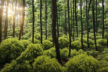 Obraz premium forest, tree, nature, green, landscape, wood, jungle, natural