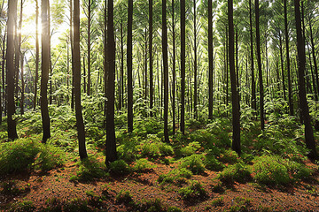 Obraz premium forest, tree, nature, green, landscape, wood, jungle, natural