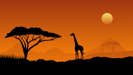 Wildlife landscape vector illustration. Wildlife africa savanna of giraffe with african tree and sunset sky. Wildlife silhouette landscape for background, wallpaper, display or landing page