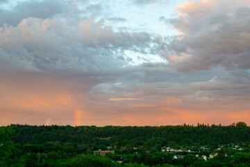 Post Rain Landscape
