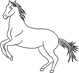 Wild Horse Outline Illustration Vector