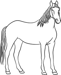 Farm Horse Outline Illustration Vector